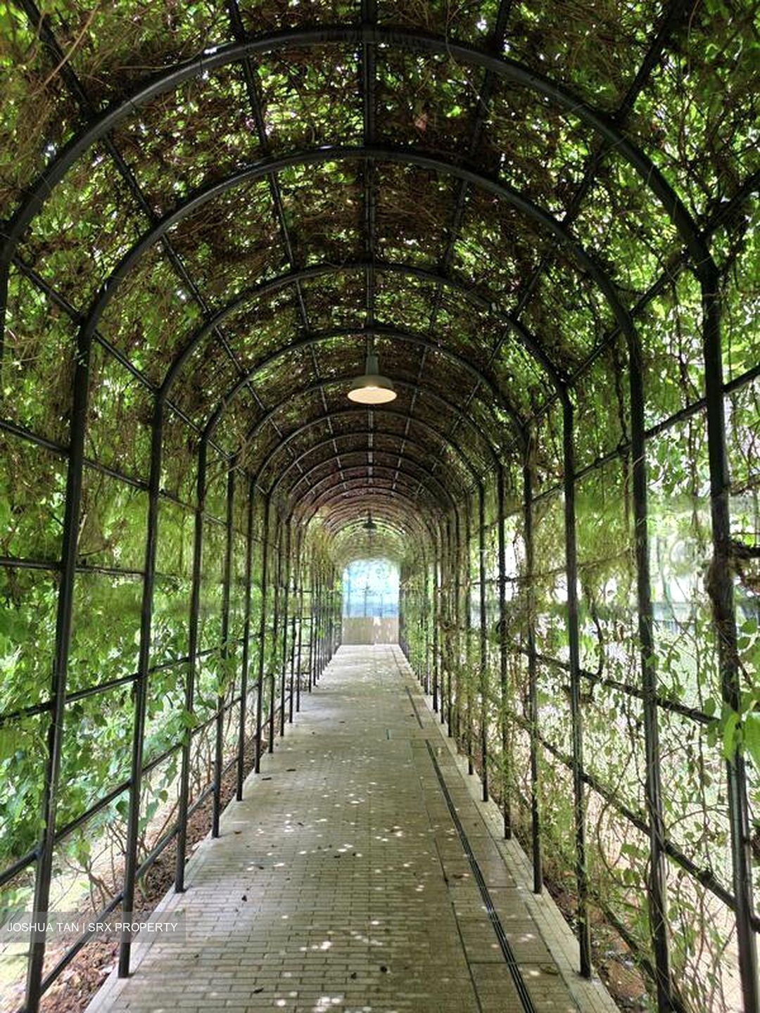 The Topiary (D28), Condominium #502145371